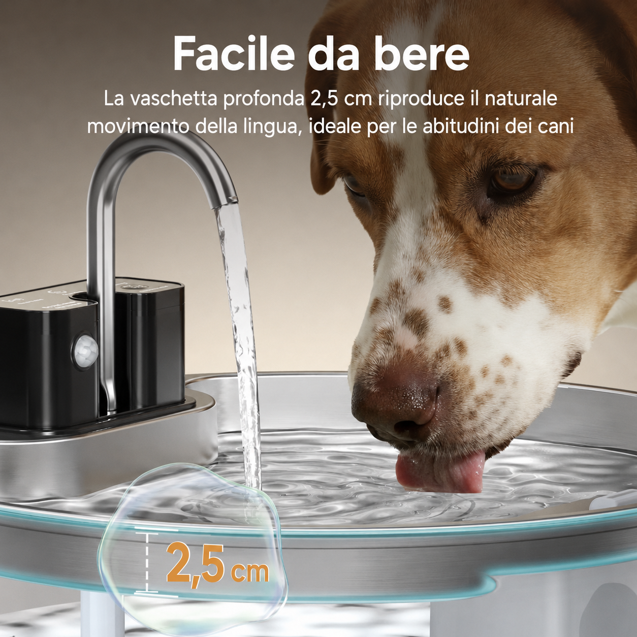 Fontanella in Acciaio Inox 7 L con Sensore e Ricarica Wireless
