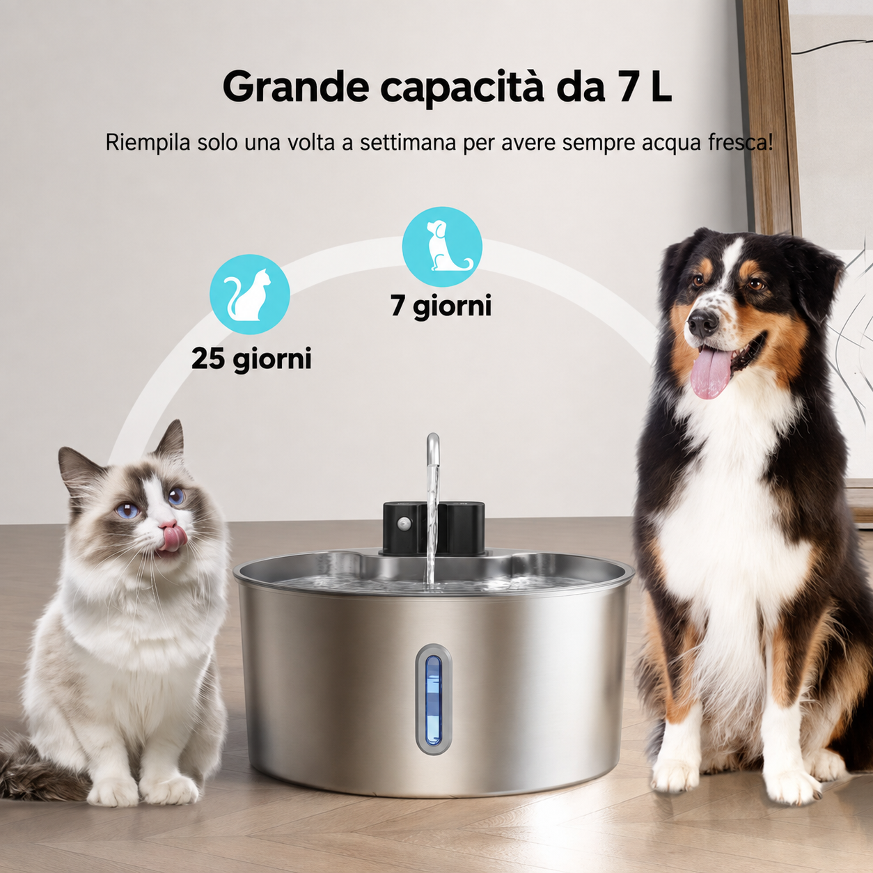Fontanella in Acciaio Inox 7 L con Sensore e Ricarica Wireless