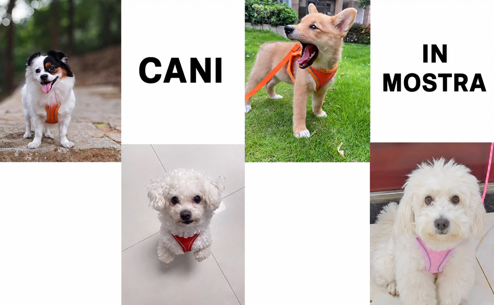 Pettorina in Rete Traspirante Regolabile per Cani e Gatti