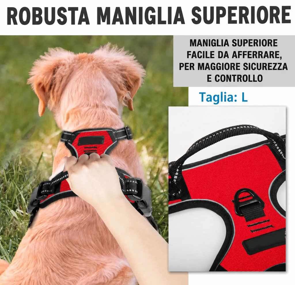 Set Collare, Pettorina e Guinzaglio in Pelle per Cani — foto 4