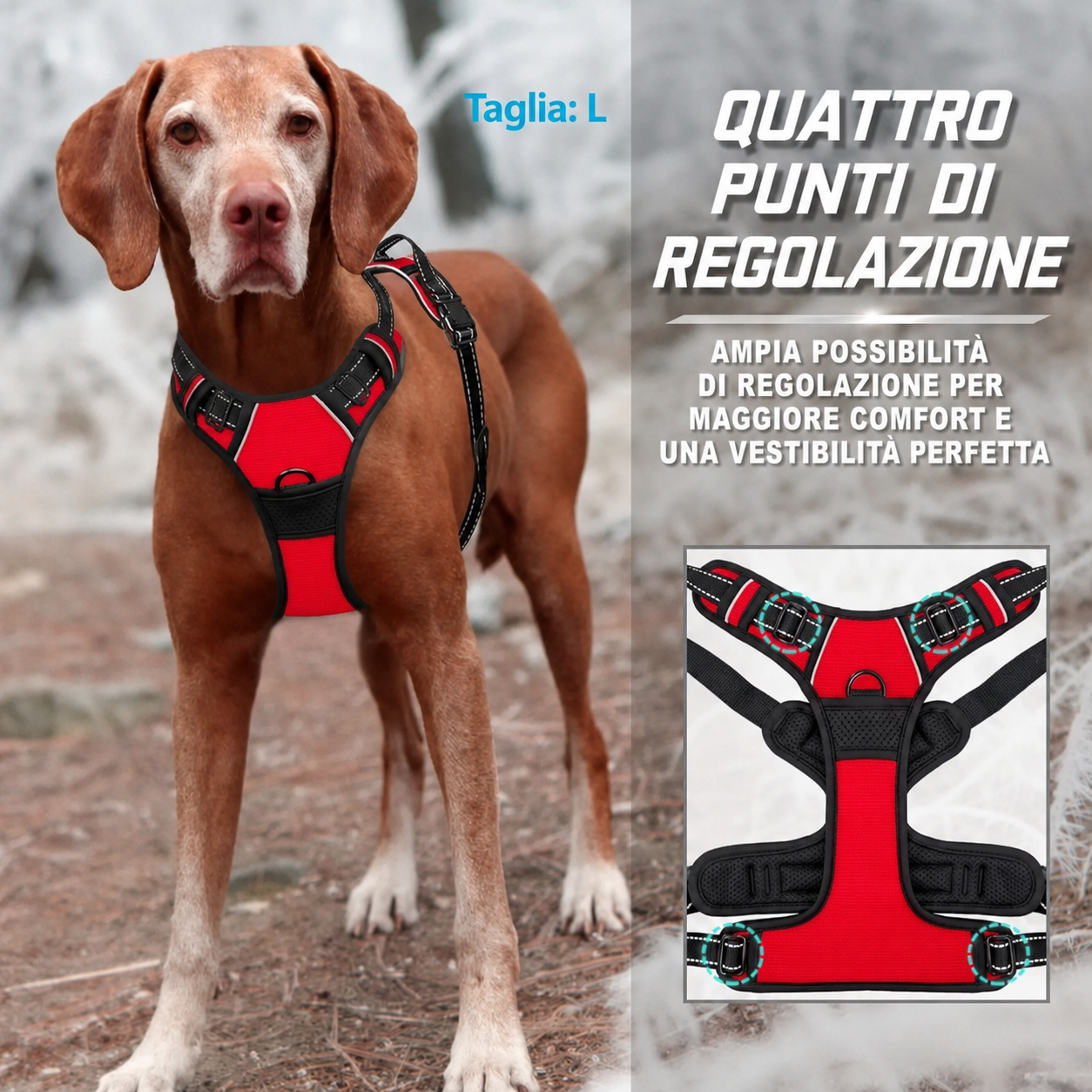 Set Collare, Pettorina e Guinzaglio in Pelle per Cani — foto 2