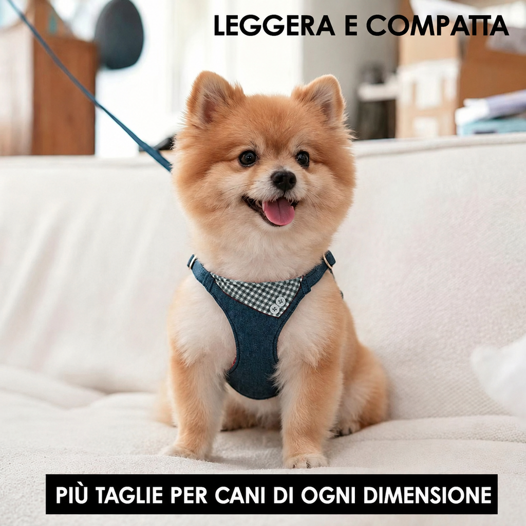Set Pettorina e Guinzaglio in Denim per Cani e Gatti — foto 2