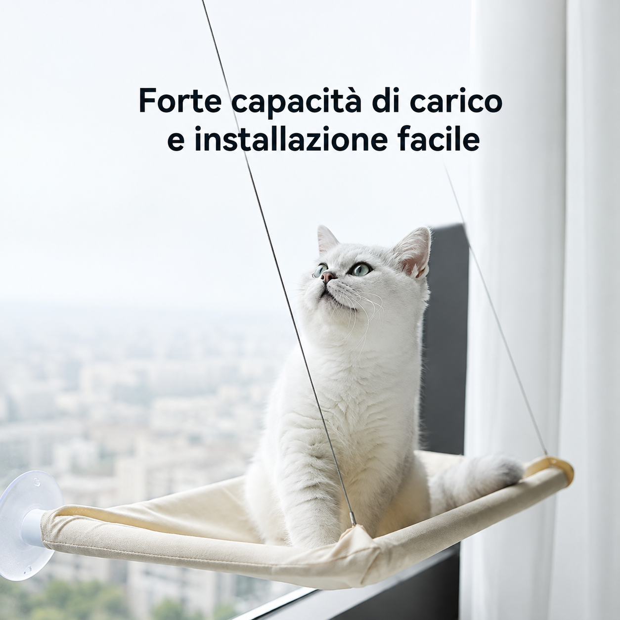 Amaca da Finestra con Ventose per Gatti