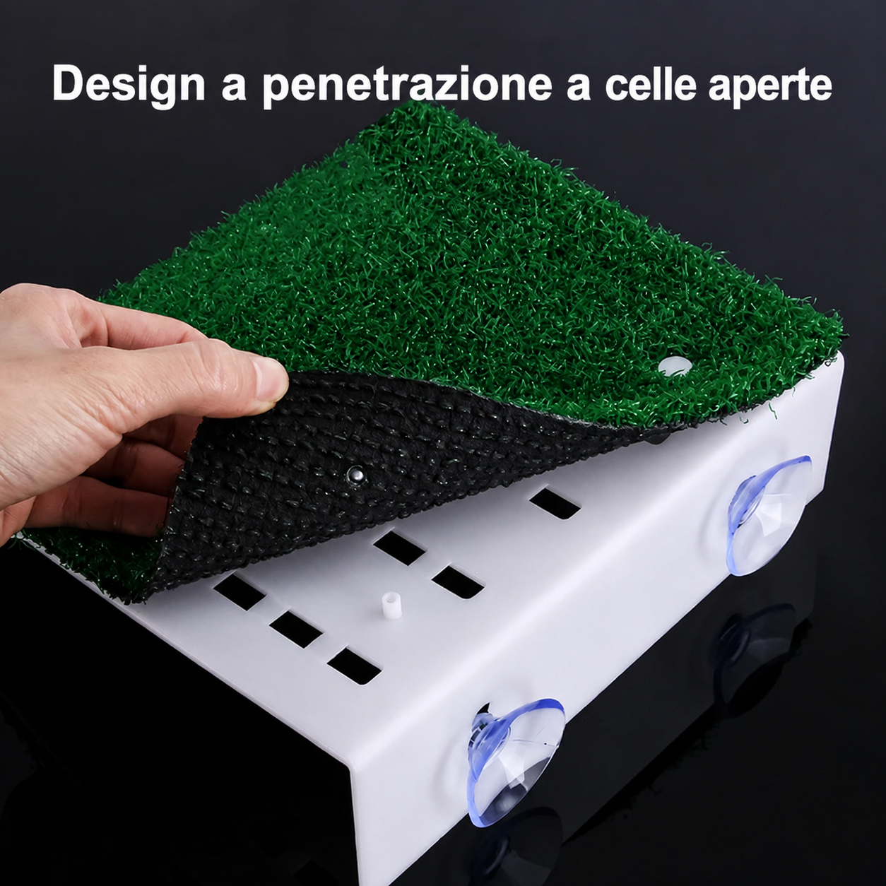 Piattaforma Galleggiante con Rampa per Tartarughe d'Acqua