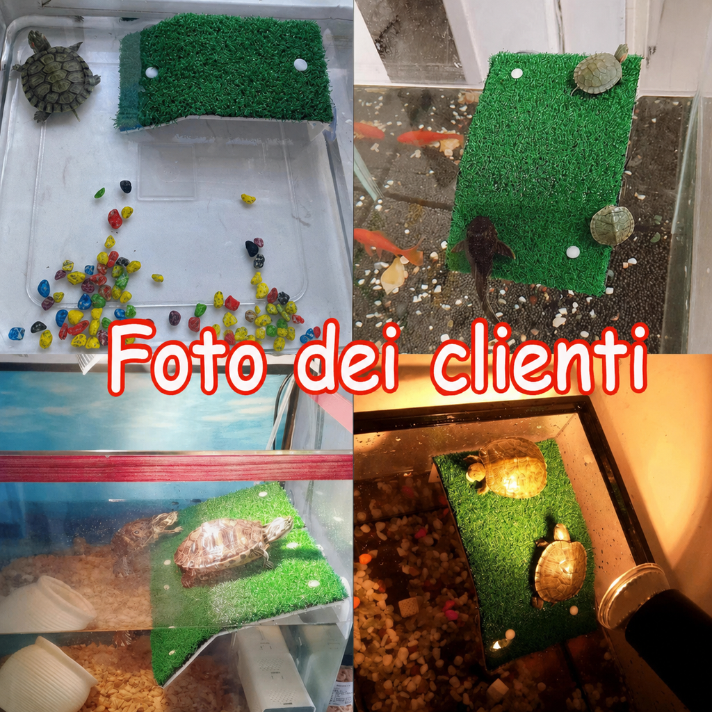 Piattaforma Galleggiante con Rampa per Tartarughe d'Acqua