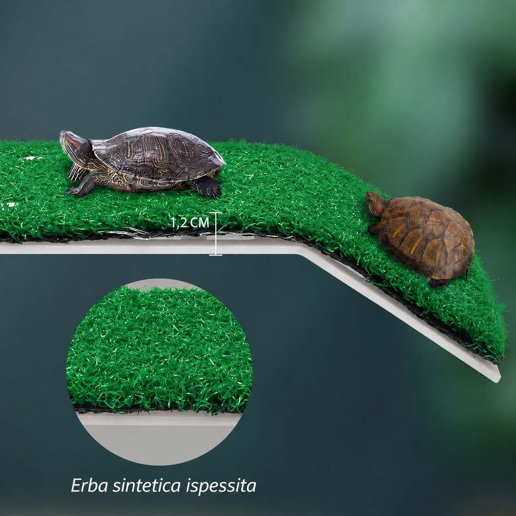 Piattaforma Galleggiante con Rampa per Tartarughe d'Acqua