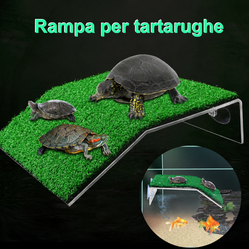 Piattaforma Galleggiante con Rampa per Tartarughe d'Acqua
