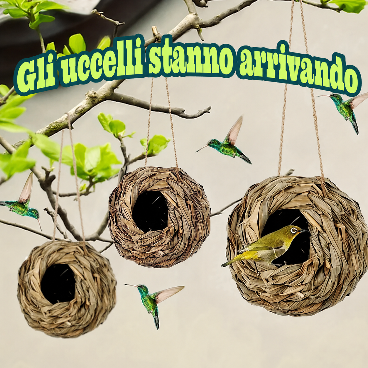 Nido in Erba Intrecciata per Uccelli da Gabbia