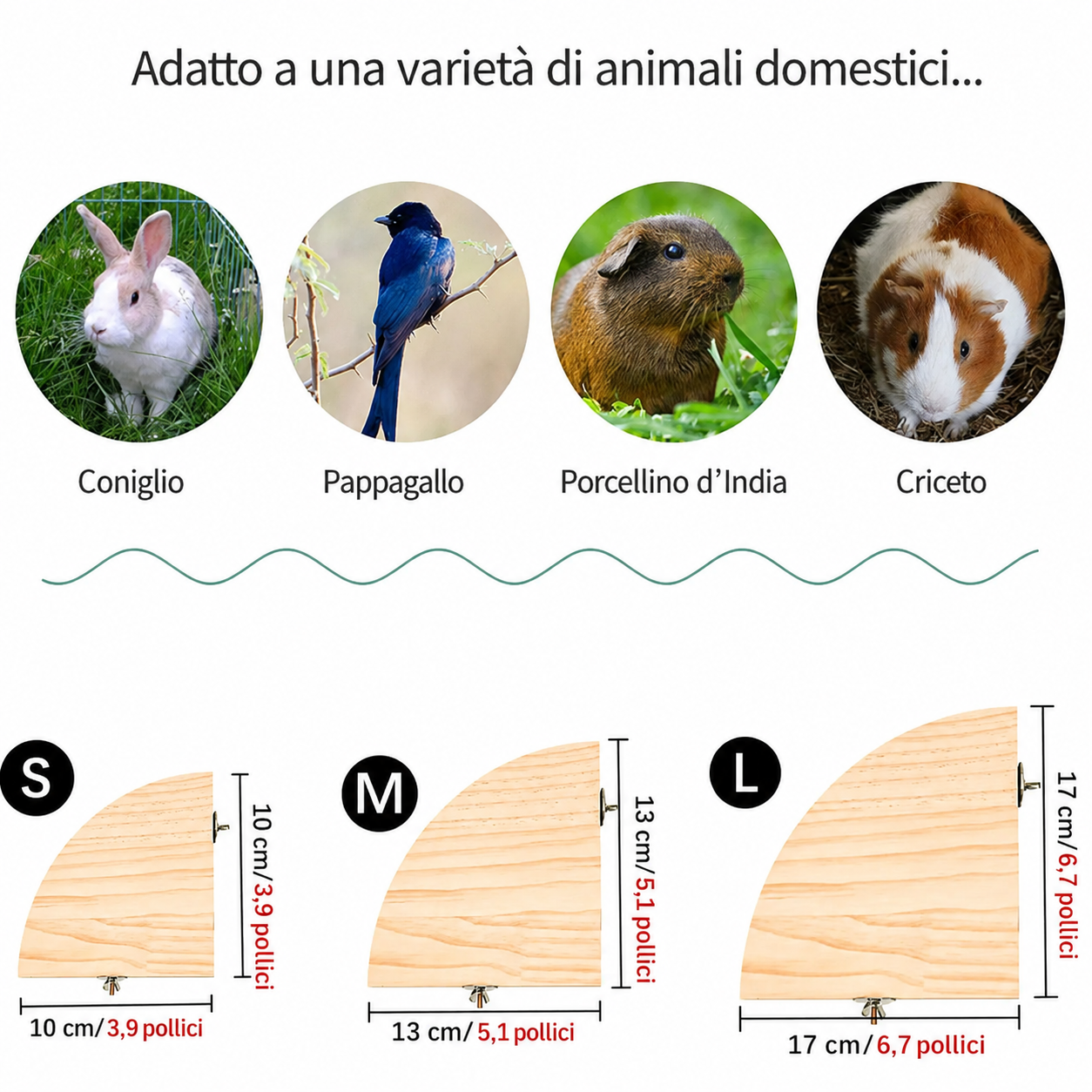 Piattaforma Posatoio in Legno per Gabbie di Pappagalli