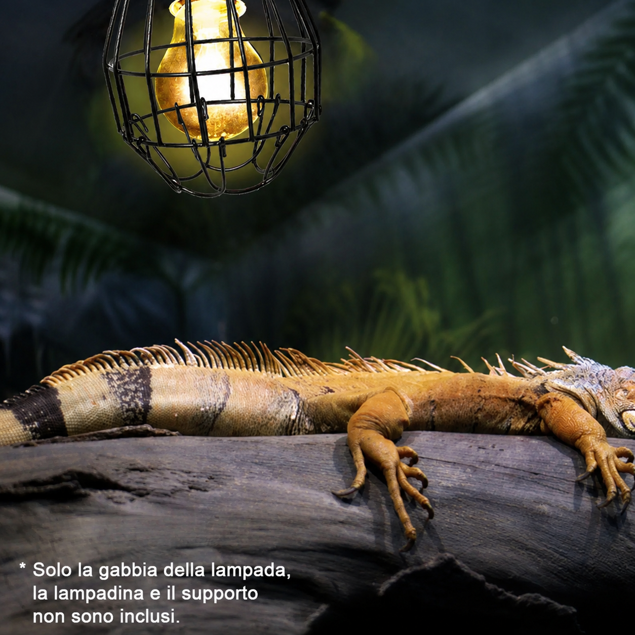 Griglia di Protezione Antiscottatura per Lampade da Terrario
