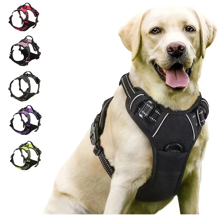 Set Collare, Pettorina e Guinzaglio in Pelle per Cani