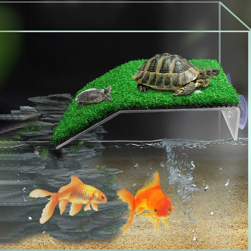 Piattaforma Galleggiante con Rampa per Tartarughe d'Acqua