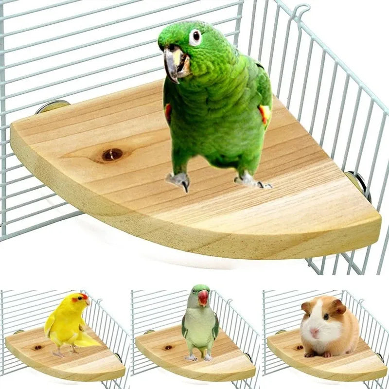 Piattaforma Posatoio in Legno per Gabbie di Pappagalli