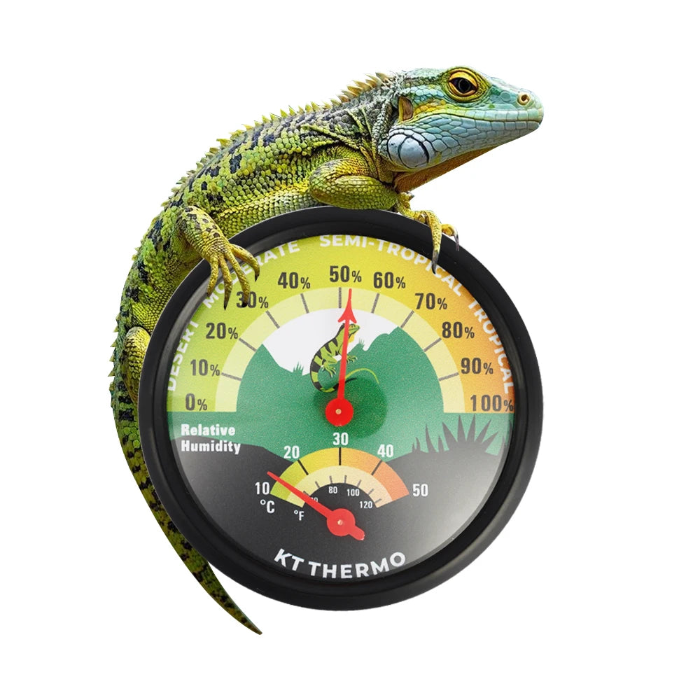 Termoigrometro con Ventosa per Terrari