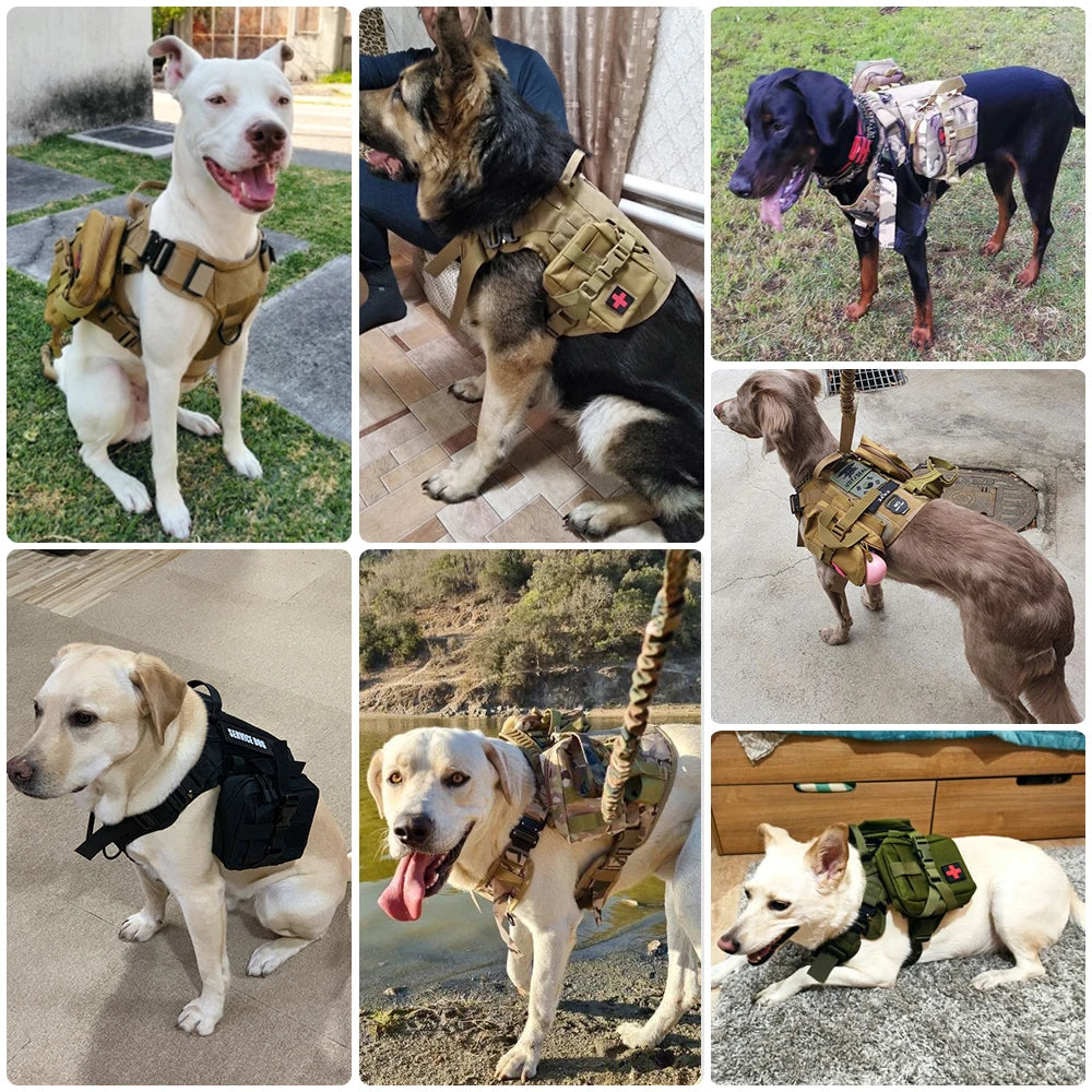 Pettorina Tattica Militare con Tasche Molle per Cani Grandi