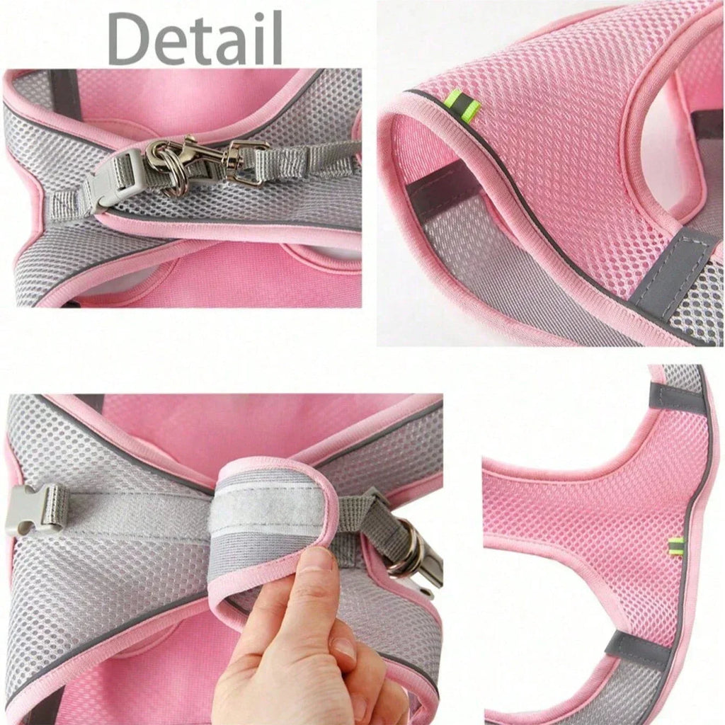 Set Pettorina e Guinzaglio Riflettente per Gatti