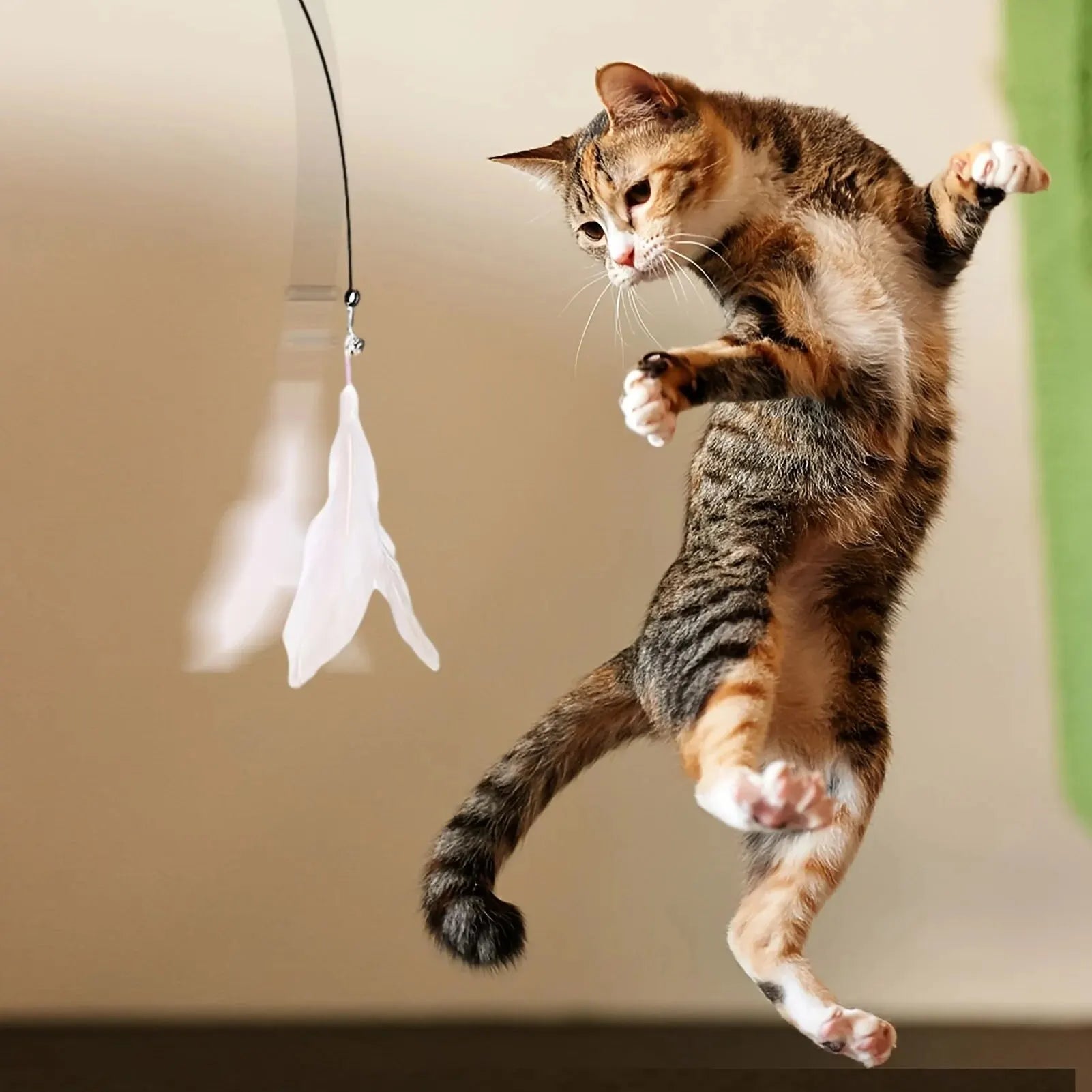 Canna da Gioco con Piume e Campanellino a Ventosa per Gatti