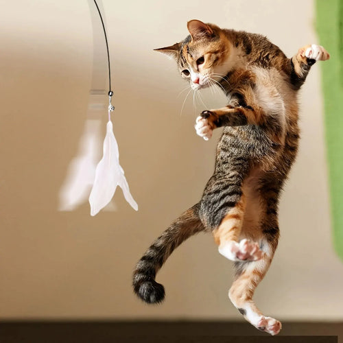 Canna da Gioco con Piume e Campanellino a Ventosa per Gatti