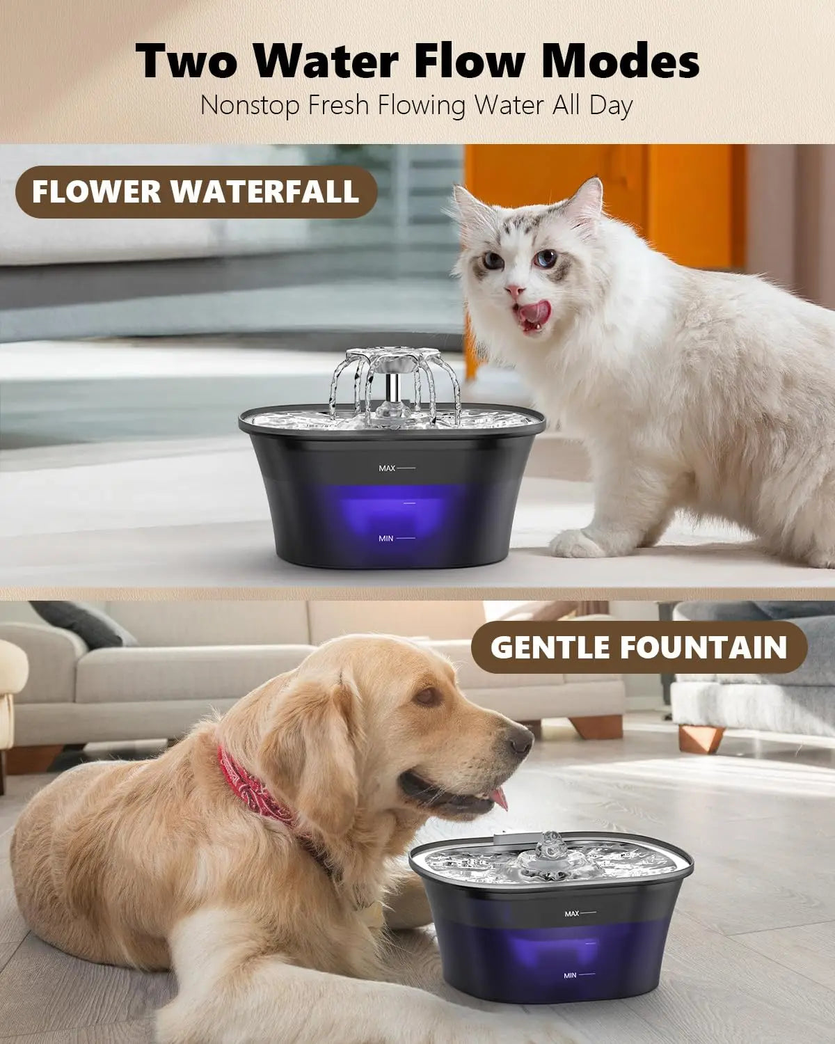 Fontanella Automatica 2,5 L con Filtri per Cani e Gatti