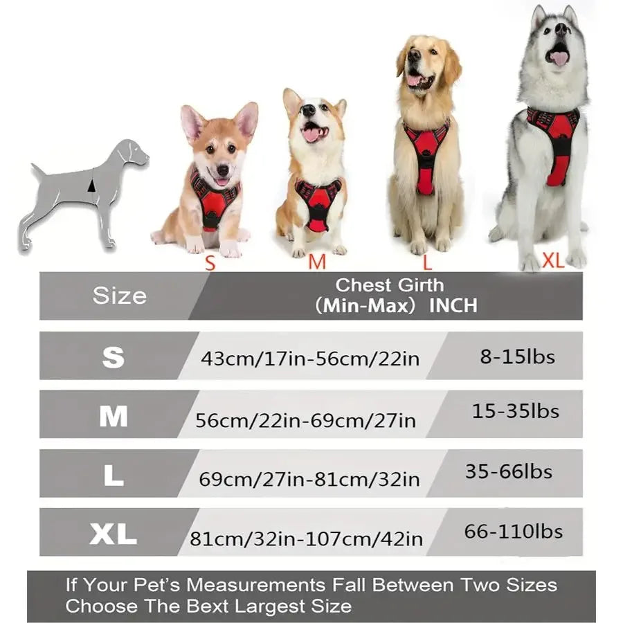 Set Collare, Pettorina e Guinzaglio in Pelle per Cani