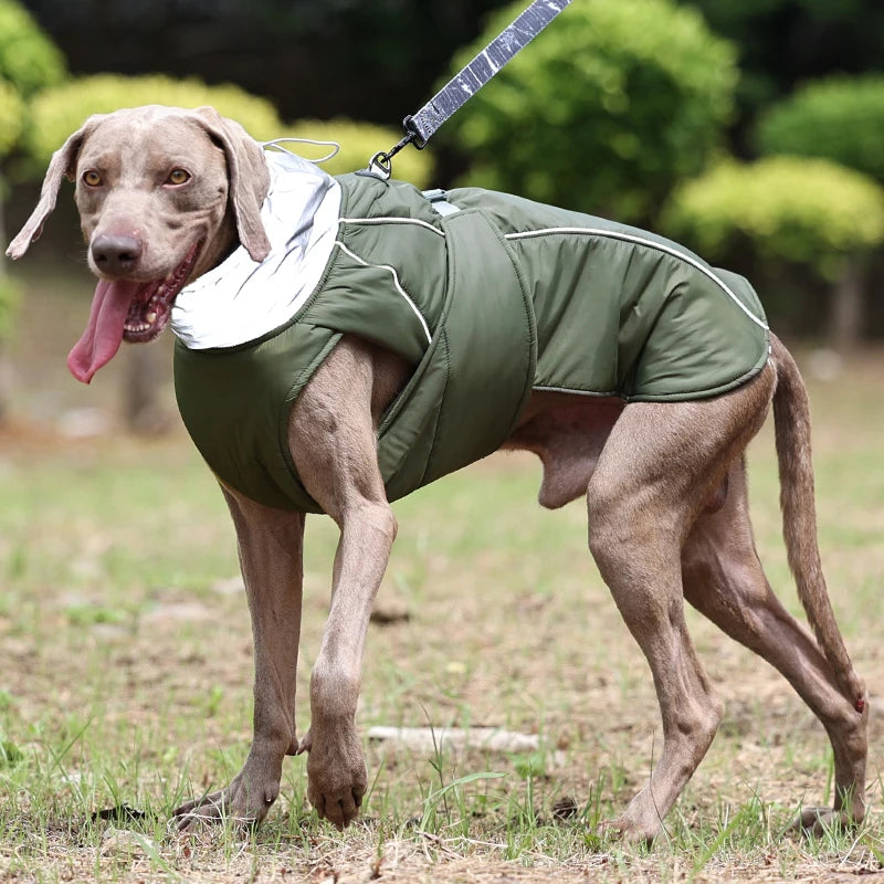 Cappotto Invernale Imbottito e Riflettente per Cani