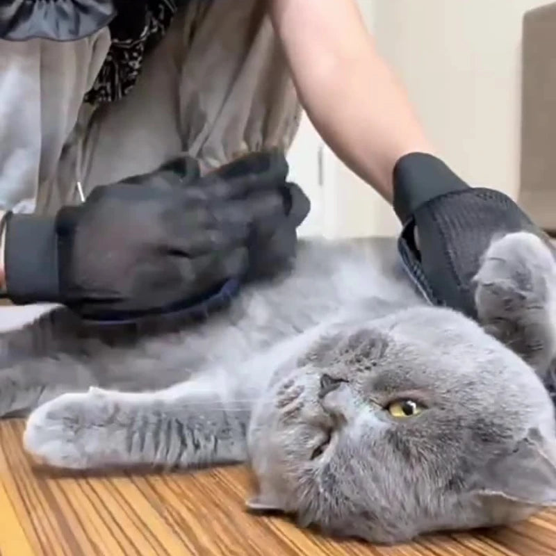 Guanti in Silicone per Toelettatura e Rimozione del Pelo