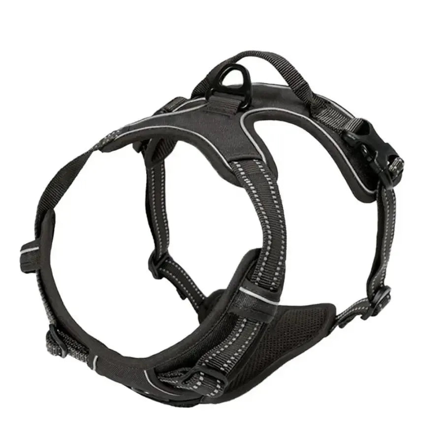 Set Collare, Pettorina e Guinzaglio in Pelle per Cani
